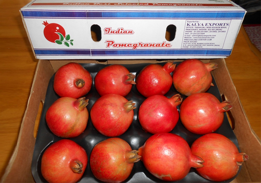 Pomegranates with plastic molding packed in a box